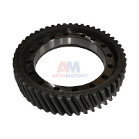 Шестерня 120 (49 зубьев) (ПАО)