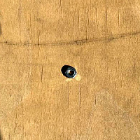 Гайка М6х1,25