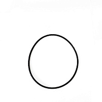 яяКольцо уплотнительное помпы (большое)