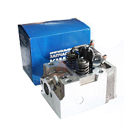 Головка блока цилиндра ЕВРО  (ПАО)